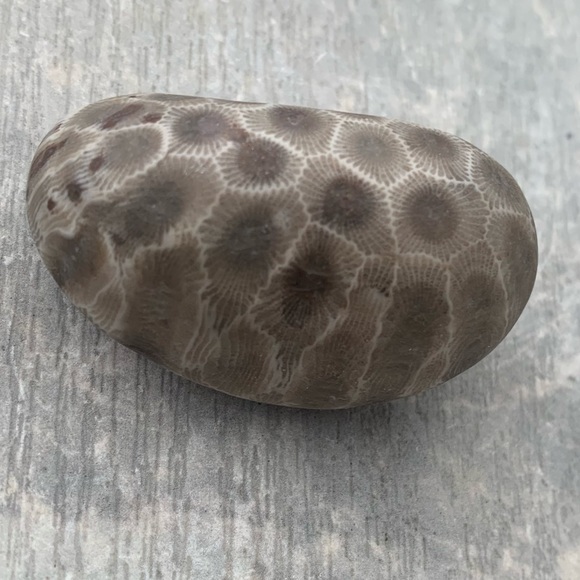 Petoskey stone - Picture 10 of 10